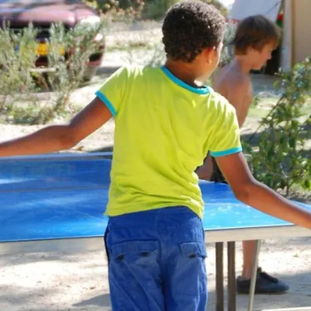 Familial 5 Pers Avec Terrasse A - Api-1-52-1152 Axat